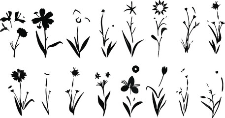 A collection of black and white flowers with a variety of shapes and sizes