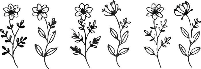 A set of black and white drawings of flowers