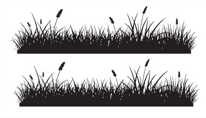 Grass silhouettes isolated on white background