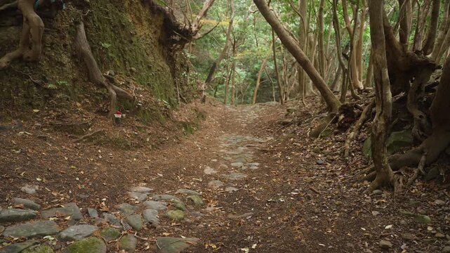 World Heritage Kumano Kodo Ohechi &ndash; Nittahiramimichi Edo‑Period Stone Pavement, Kushimoto, Wakayama　世界遺産・熊野古道大辺路「新田平見道・江戸時代の石畳道」和歌山県串本町