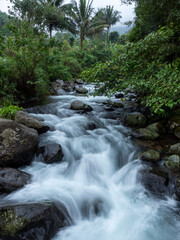 Obraz premium Flowing river passing through tropical forest with rocks and dense green vegetation. Long exposure water effect creates a calm and natural atmosphere