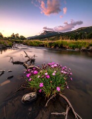 Serene landscape with a stream flowing through a grassy meadow. Pink wildflowers bloom near the water's edge under a cloudy sky