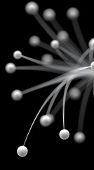 White flower adorned with many white spheres white flower adorned with many small white spheres presenting delicate beauty