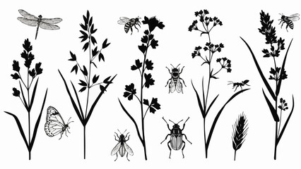 Collection of Insects and Plants Silhouettes Vector Illustration. © Rio
