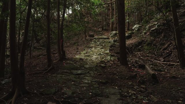 World Heritage Kumano Kodo Ohechi &ndash; Nittahiramimichi Edo‑Period Stone Pavement, Kushimoto, Wakayama　世界遺産・熊野古道大辺路「新田平見道・江戸時代の石畳道」和歌山県串本町