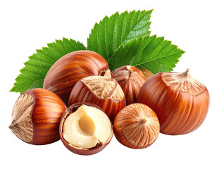 Close-up of several brown nuts with leaves, one nut opened