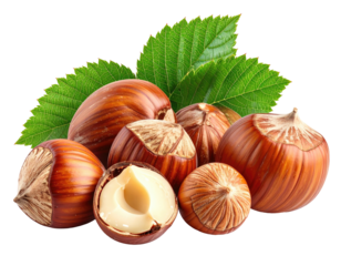 Close-up of several brown nuts with leaves, one nut opened