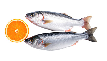 Two fresh fish with an orange slice against a black background