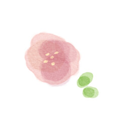 シンプルな水彩の赤い花