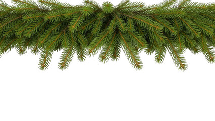 Fresh Green Spruce Branches Border On Black Background