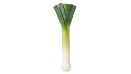 Fresh green leek isolated PNG, healthy vegetable for cooking and culinary use on transparent background