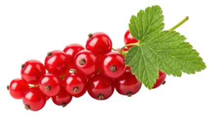 Red currant berries with green leaf isolated PNG, fresh juicy fruit on transparent background for healthy eating and summer designs