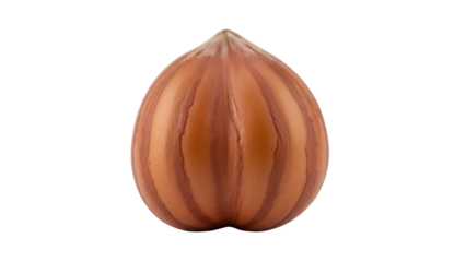 Brown striped acorn squash PNG isolated on transparent background, autumn vegetable for Thanksgiving and Halloween designs