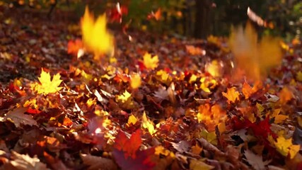 Close Up Leaf Dance leaf swirl autumn A detailed, eye level close up shot capturing individual red, orange, and yellow leaves as they - Powered by Adobe