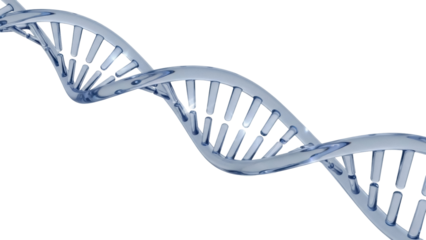 Translucent DNA double helix isolated PNG, genetic code molecule structure for science and medical research on transparent background