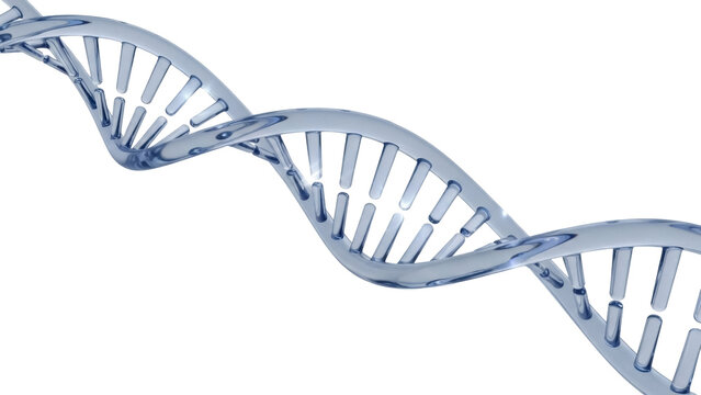 Translucent DNA double helix isolated PNG, genetic code molecule structure for science and medical research on transparent background - Powered by Adobe