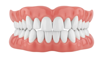 Realistic dentures isolated PNG, full set of false teeth for dental prosthetics and oral hygiene on transparent background