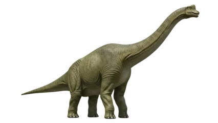 Fotobehang Dinosaurussen Green Brachiosaurus dinosaur isolated PNG on transparent background, prehistoric animal with long neck for educational use  © James