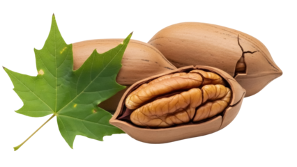 Pecan nuts with green leaf isolated PNG, shelled and unshelled nuts on transparent background, healthy snack for food design