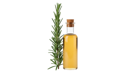 Rosemary infused oil in glass bottle isolated PNG, aromatic herb extract for cooking and aromatherapy on transparent background