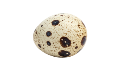 Quail egg PNG isolated on transparent background, speckled brown and beige egg for Easter and culinary use