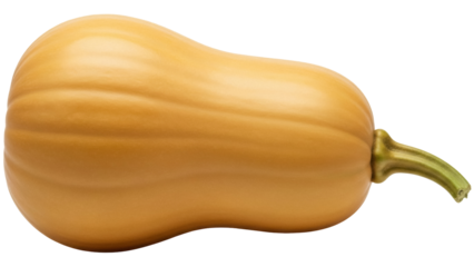 Butternut squash PNG isolated on transparent background, fresh winter vegetable for healthy eating and seasonal recipes