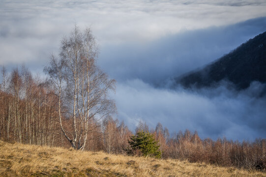 Foggy autumn morning in the Carpathian mountains. - Powered by Adobe