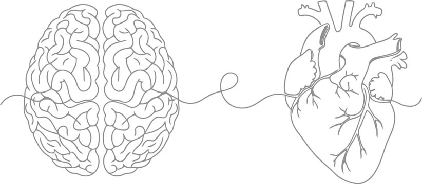 Line art drawing of a brain connected to a human heart by a thin line
