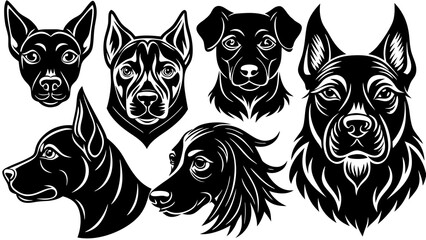 Obraz premium black and white dog