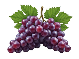Fototapeta premium Bunch of grapes with leaves isolated on transparent background
