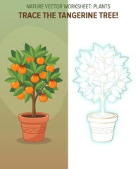 A vector worksheet featuring a tangerine tree in a pot, encouraging artistic tracing of the vibrant tree with bright oranges and foliage, ideal for educational purposes.