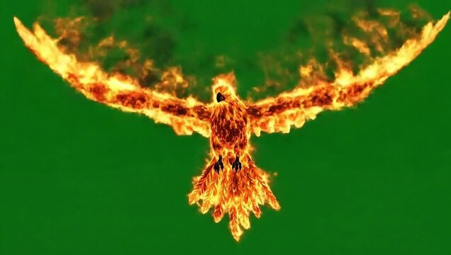 Fiery Phoenix Bird Flying and Flapping Wings on Green Screen. Mythical Fire Eagle Soaring, Symbol of Rebirth and Power, VFX Element.