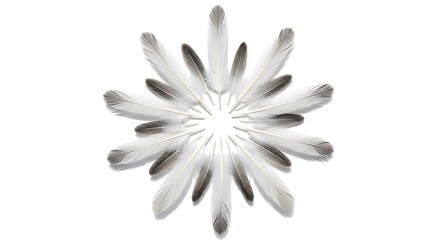 Symmetrical arrangement of white and gray feathers forming a starburst pattern