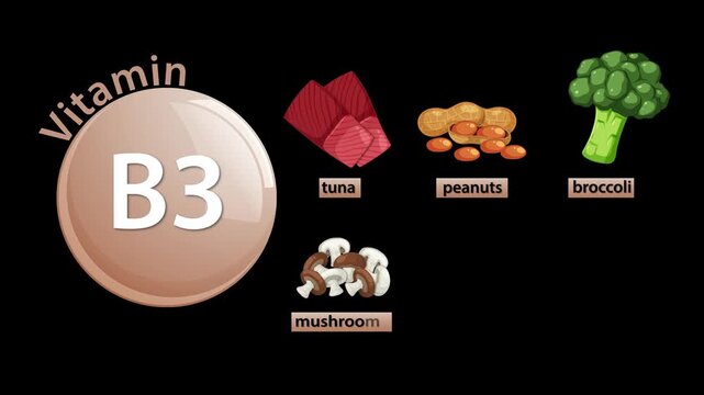 Vitamin B3 Niacin Sources Animation With Food Illustrations