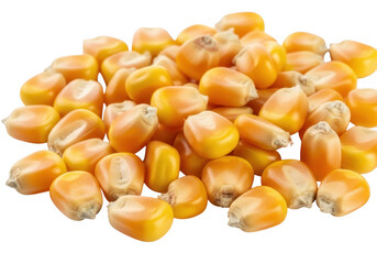 Pile of dried corn kernels isolated on transparent background