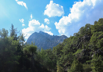 Mountains peaks surrounded by lush green forest. Peaceful mountain valley with clouds and evergreen pine trees in Goynuk canyon, Turkey.