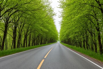 Obraz premium Idyllische Straße umgeben von grünen Bäumen im Frühling