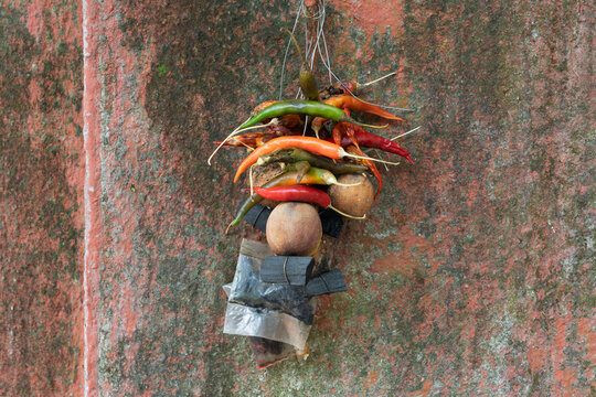 Hanging Nimbu Mirchi talisman in Mumbai: withered green and red chilies with dried lemon and charcoal on a rustic wall to ward off the evil eye and bring good luck.