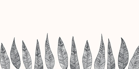 Floral frame with eucalyptus leaves on white background. Ornate border. Vector hand drawn illustration for wallpaper, posters, card. Doodle style. Copy space.