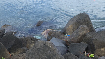 Rocks are arranged on the edge of the beach, the sea water is calm