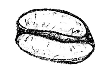 Fototapeta premium Hand drawn fresh roasted coffee bean Arabica robusta seed doodle Single element for print, web, design, decor