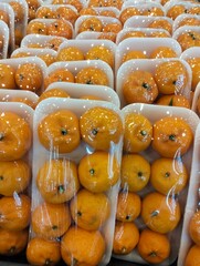 Fresh Mandarin Oranges Packed in Plastic Tray for Market Sale