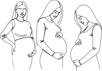 Stages of pregnancy vector Illustration