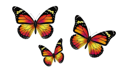 3D Three Monarch Butterflies with Orange and Yellow Wings on transparent background
