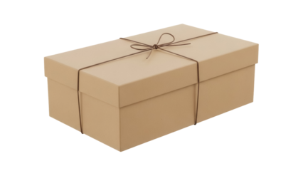 Brown cardboard box with string isolated PNG, gift container for shipping and storage on transparent background