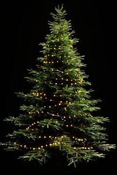 A realistic Christmas tree decorated with glowing garlands on a black background. AI generative
