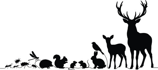 Silhouettes of forest animals arranged by size from insects to deer, illustrating wildlife diversity and nature-themed educational concepts.