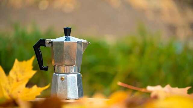 A stainless steel stovetop coffee maker in autumn setting, surrounded by vibrant yellow maple leaves