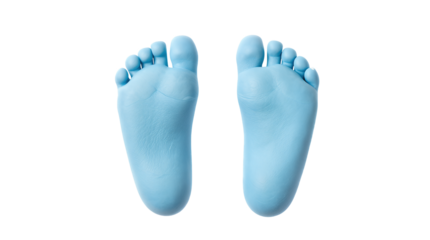 Pair of baby feet isolated