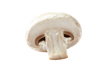 Sliced mushroom cap with stem attached